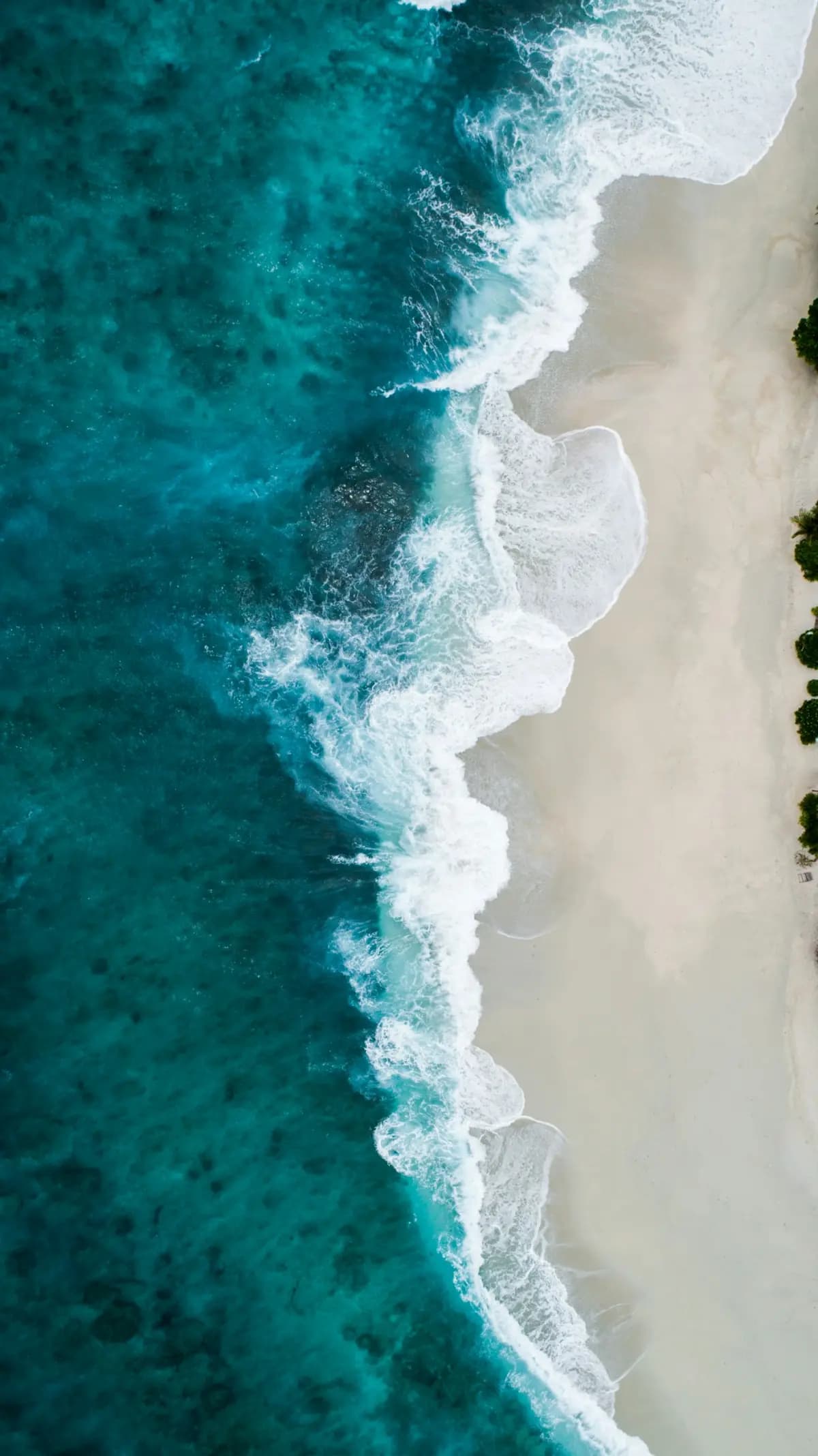 Vista aérea de la orilla del mar sobre arena clara