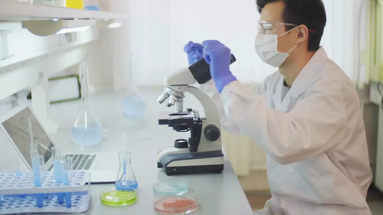 Técnico de laboratorio observando una muestra al microscopio junto a placas de cultivo