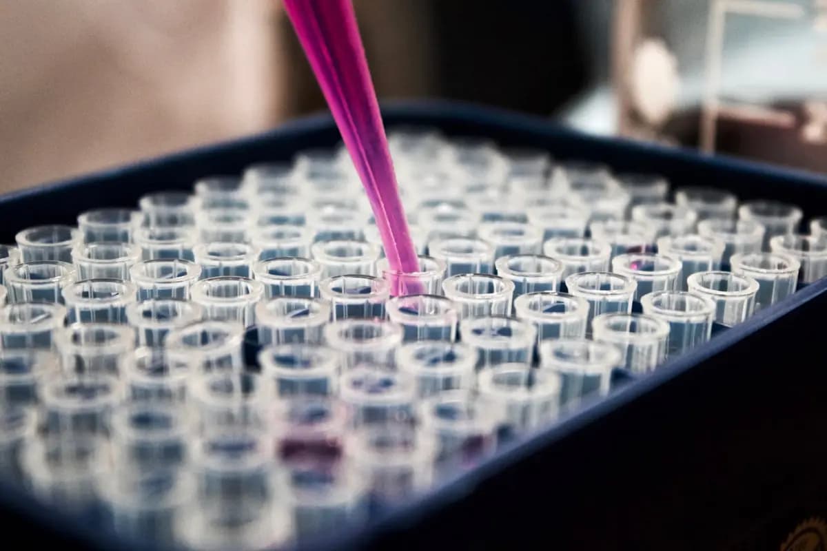 Pipeta dosificando una muestra sobre una gradilla de viales de laboratorio